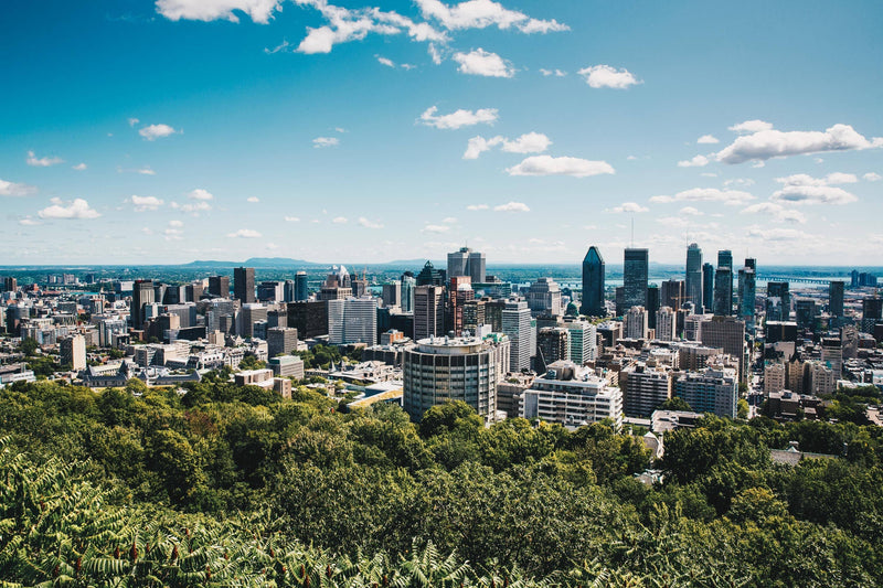 Montreal City Preview