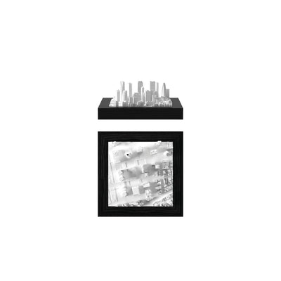 miniCUBE